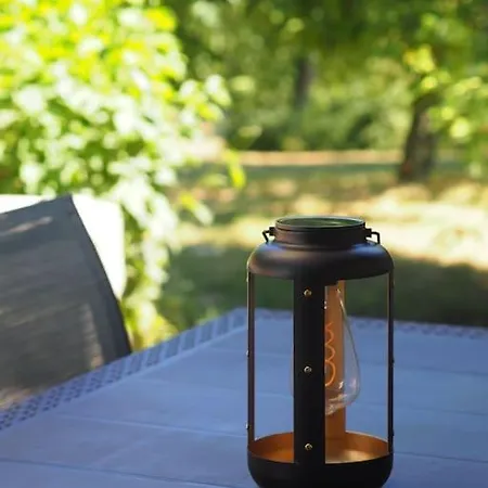 Renove Avec Piscine Et Terrasse